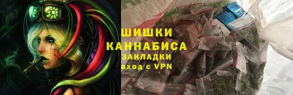 сатива Иннополис