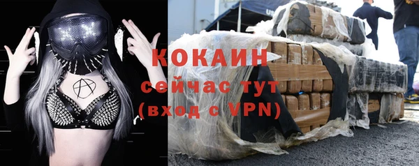 сатива Иннополис