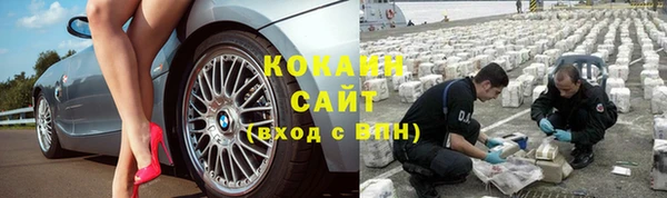 сатива Иннополис