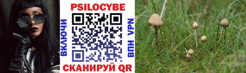Псилоцибиновые грибы Cubensis  магазин  наркотиков  Карталы 